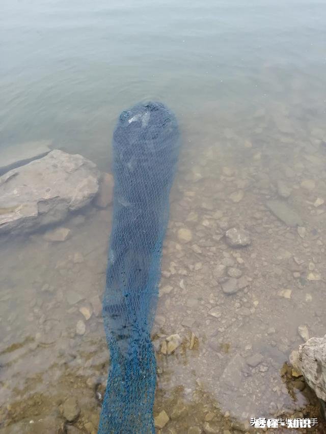 调平水钓二目子线多长