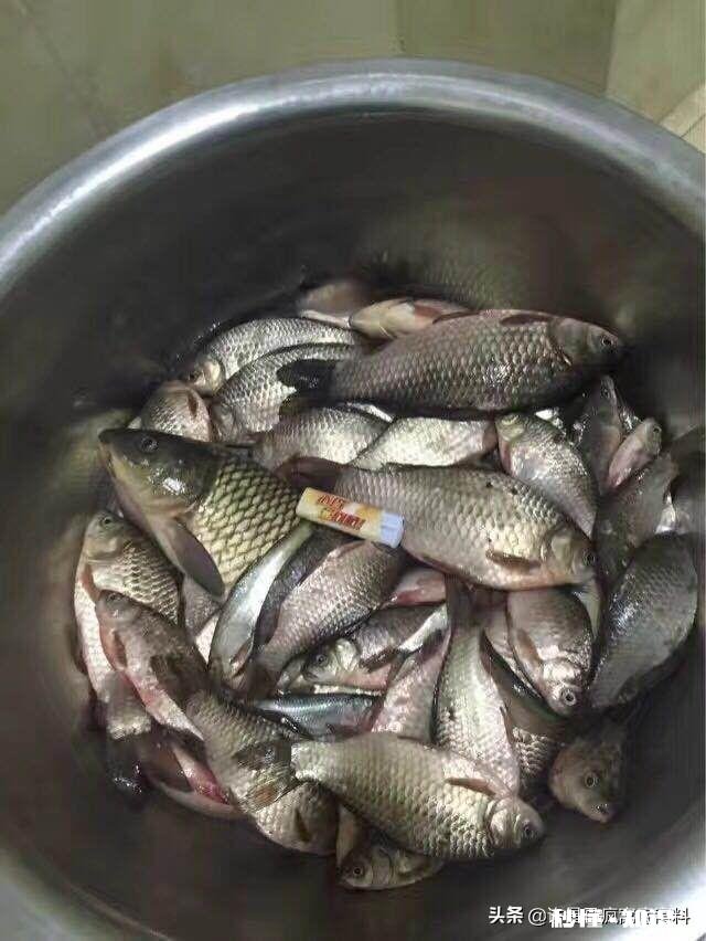 调平水钓二目子线多长