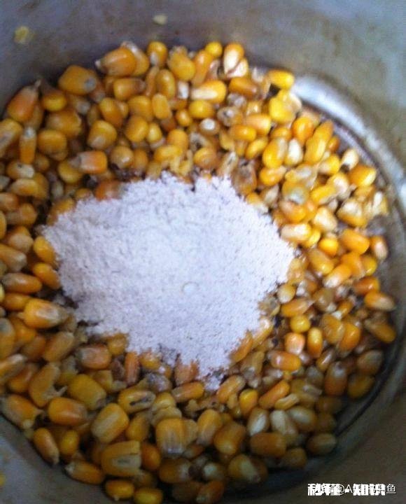 生玉米粒泡酒可以钓鱼吗