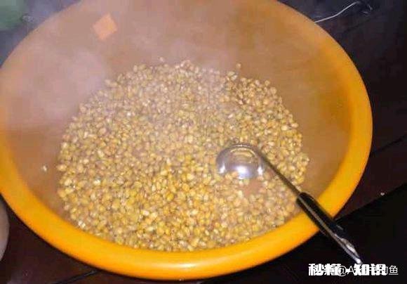 生玉米粒泡酒可以钓鱼吗