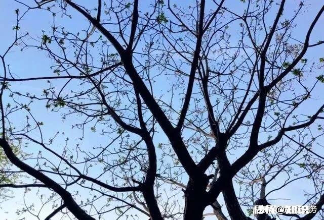 快要中考的孩子,脾气变得特别暴躁