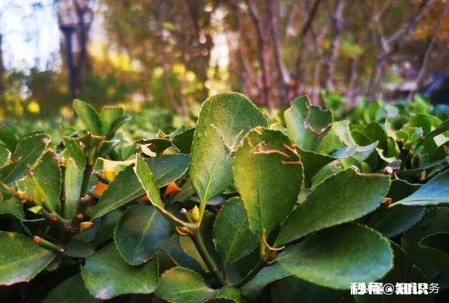 快要中考的孩子,脾气变得特别暴躁