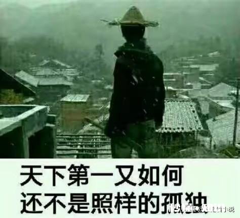 《雪中悍刀行》中达到陆地神仙境界的高手有哪些，按照实力高低排名应该是怎样