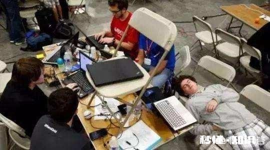 程序员和设计师这两种职业，你觉得哪个“脱发”更厉害