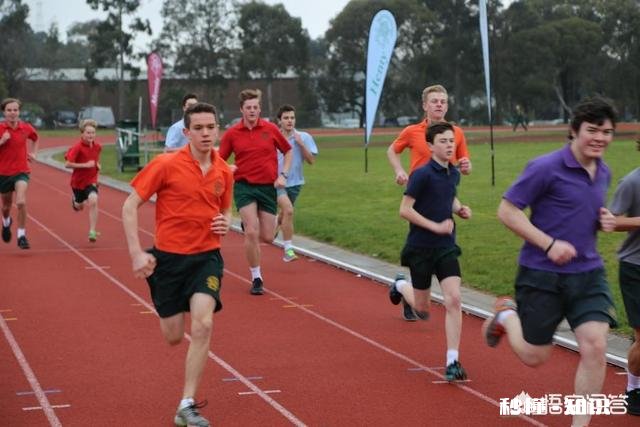程序员和设计师这两种职业，你觉得哪个“脱发”更厉害