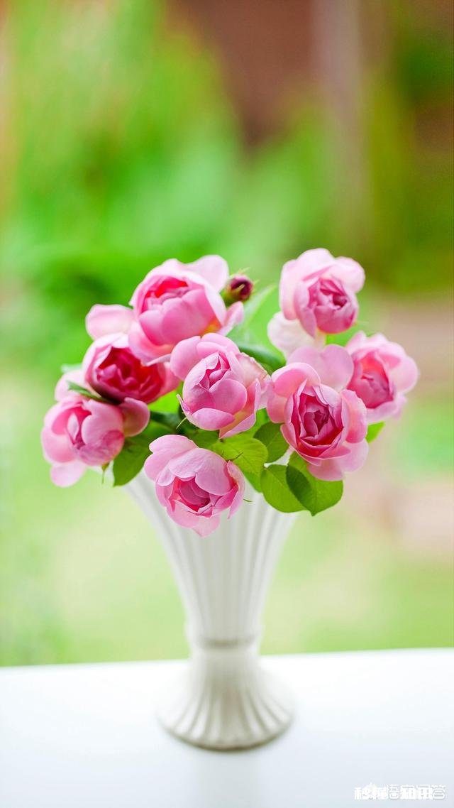 你小时候收到的最喜欢的新年礼物是什么