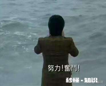 熟知历史常识却未必具备历史观点，“读史明智”到底体现在何处