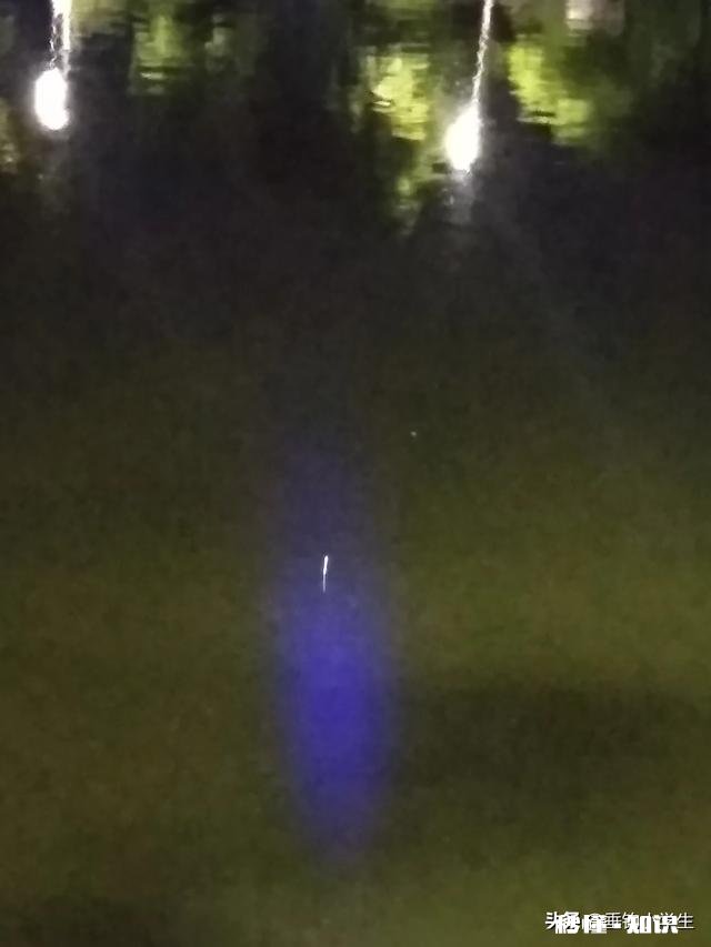 25至35度适合夜钓吗