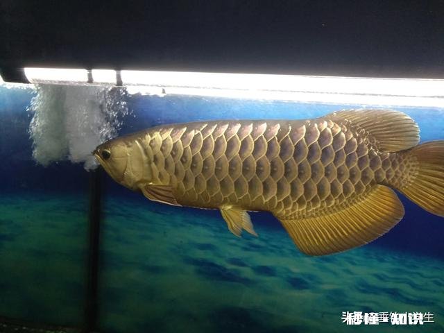 25至35度适合夜钓吗