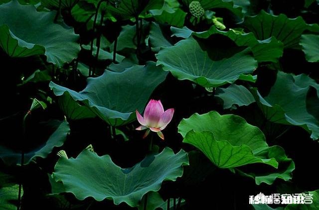 25至35度适合夜钓吗