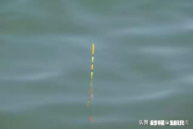 浮漂的目为什么越往上越宽