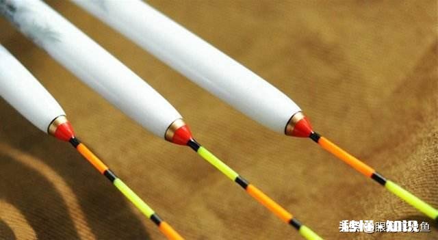 浮漂的目为什么越往上越宽