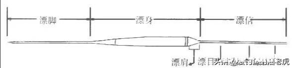 浮漂的目为什么越往上越宽