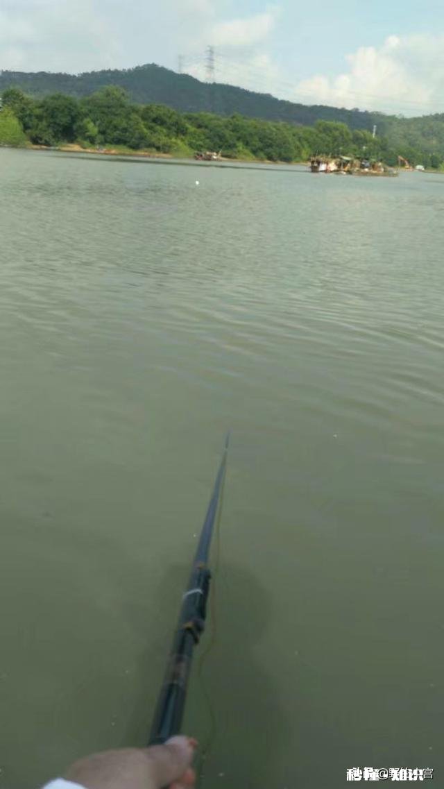 浮漂的目为什么越往上越宽