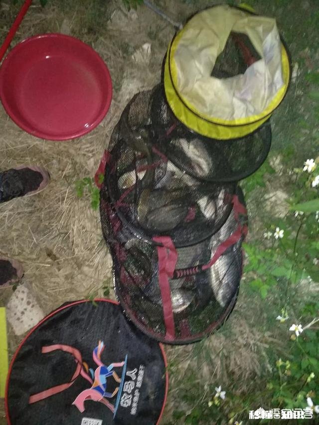 怎么钓鱼,鱼钩选择,鱼杆等我要钓罗非鱼