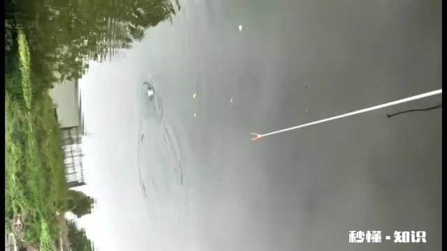 有些钓鱼大师开直播卖钓鱼产品,购买后就能成钓鱼大师吗