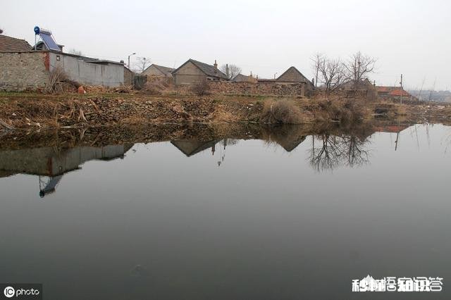 冬季鱼塘用拉饵可以吗我所垂钓的鱼塘水质经常上牛粪,该如何钓