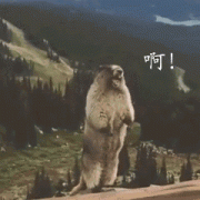 去菲律宾工作，一月两三万你会去吗