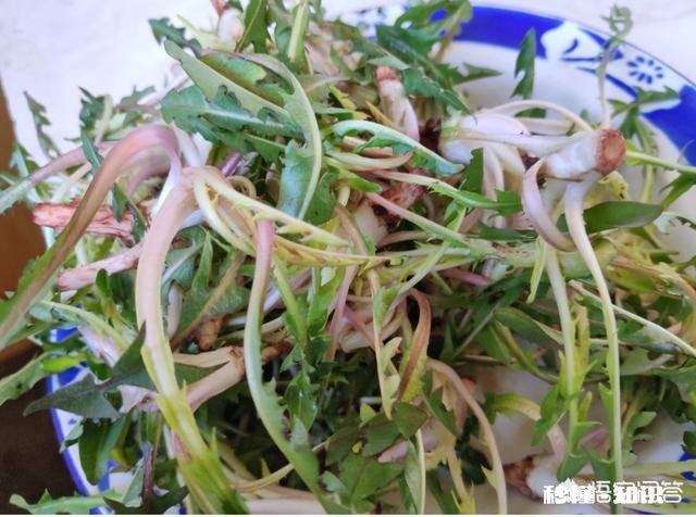 你的五一过得糟糕吗为什么