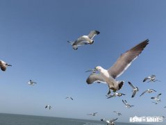 你的五一过得糟糕吗为什么