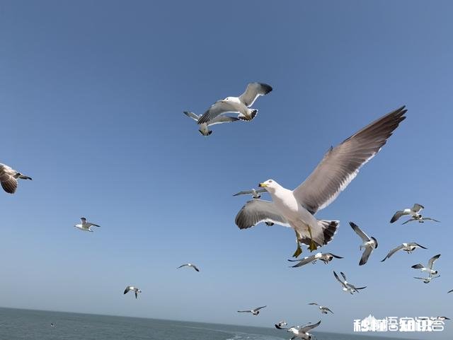 你的五一过得糟糕吗为什么