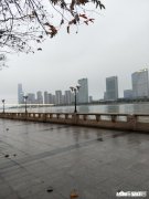 从千亿市值到暂停上市，乐视网还能起死回生吗