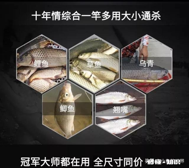 300-400元如何选择鱼竿