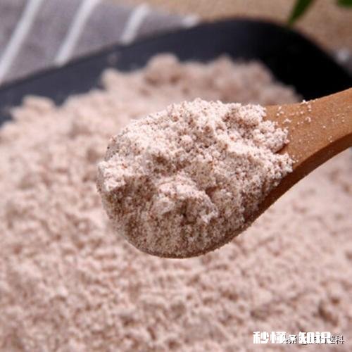 今年能种高梁吗价格如何