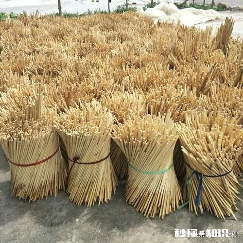 今年能种高梁吗价格如何