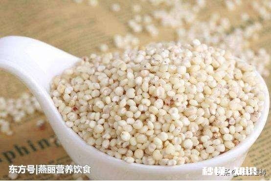 今年能种高梁吗价格如何