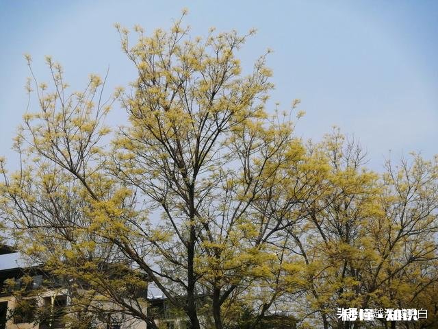 婚前有过同居的事,有必要和下一任男朋友说吗