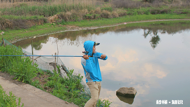 5.4的鱼竿钓多远合适