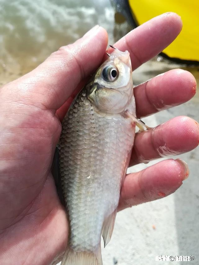 5.4的鱼竿钓多远合适