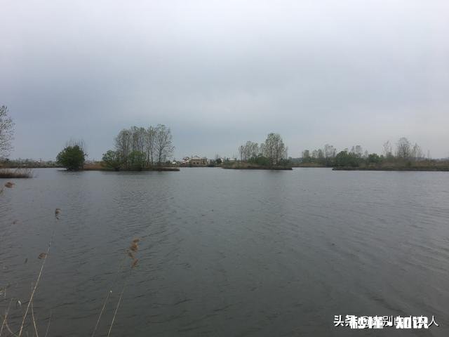 钓鱼用什么做窝料最好