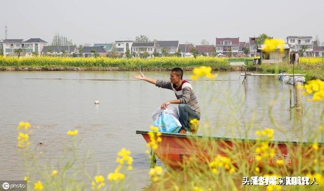 钓鱼用什么做窝料最好