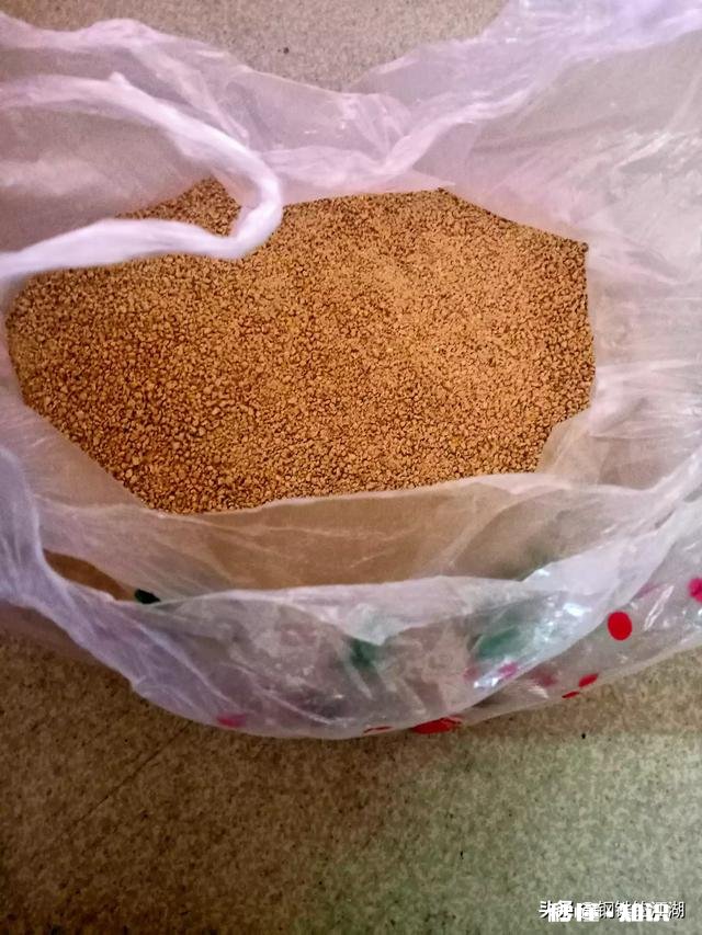 钓鱼用什么做窝料最好