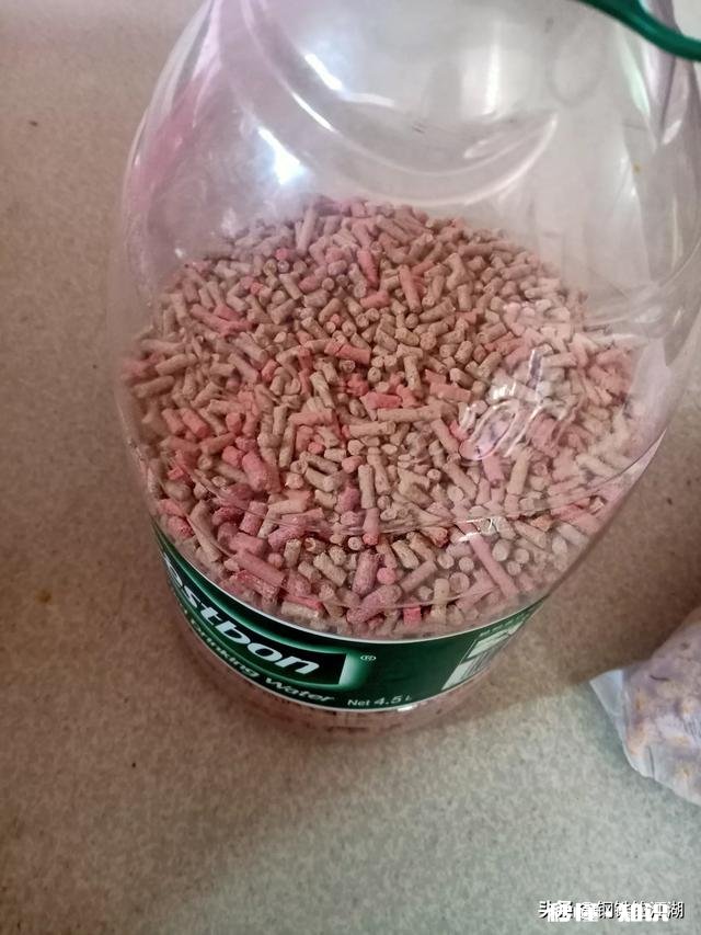 钓鱼用什么做窝料最好