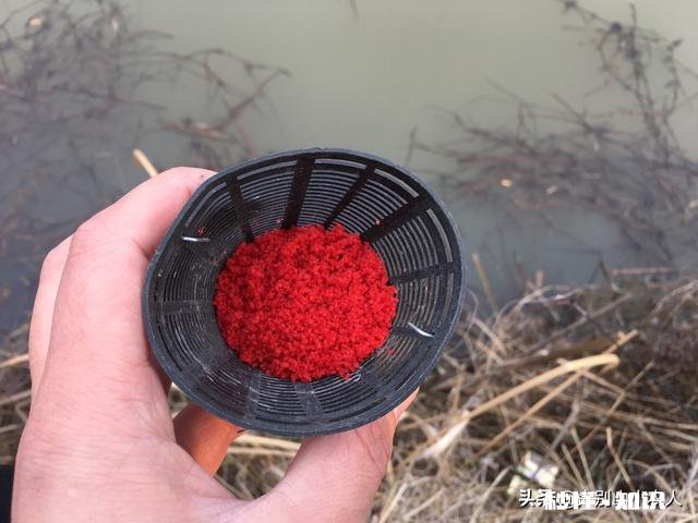 钓鱼用什么做窝料最好