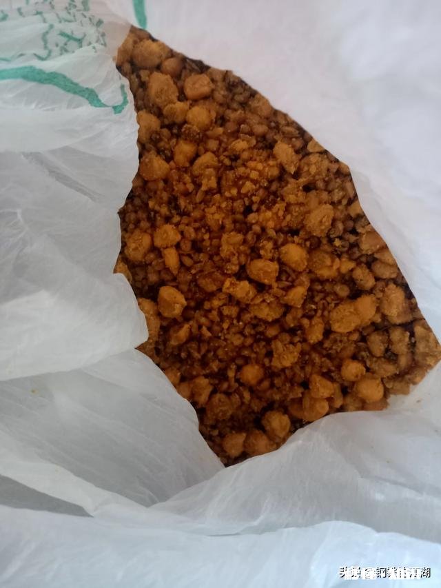 钓鱼用什么做窝料最好