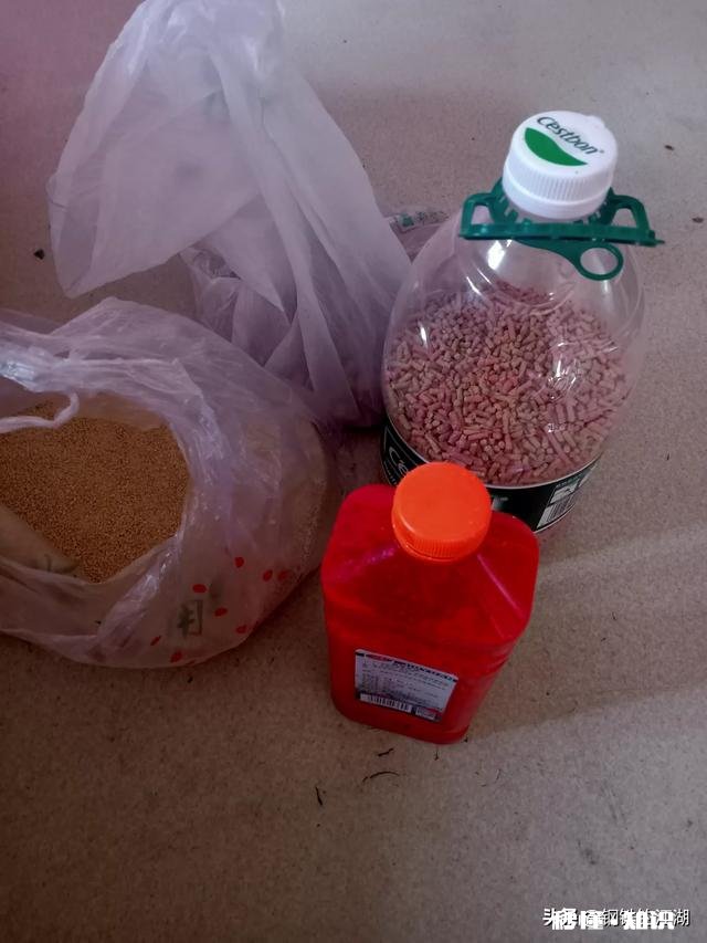 钓鱼用什么做窝料最好