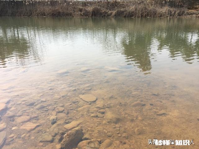 钓鱼用什么做窝料最好