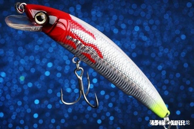 长江翘嘴鱼怎么钓