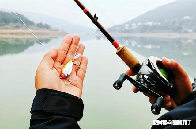 长江翘嘴鱼怎么钓