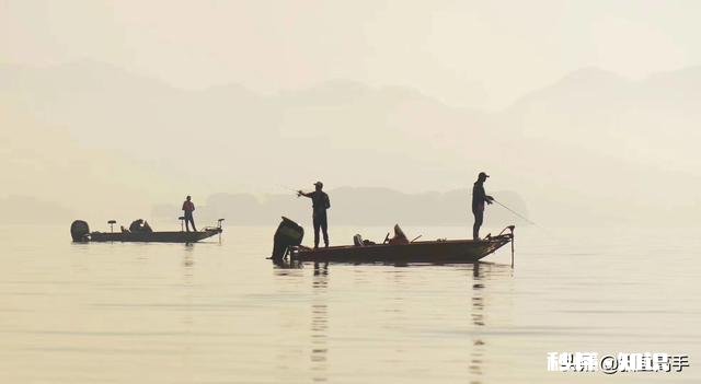 长江翘嘴鱼怎么钓