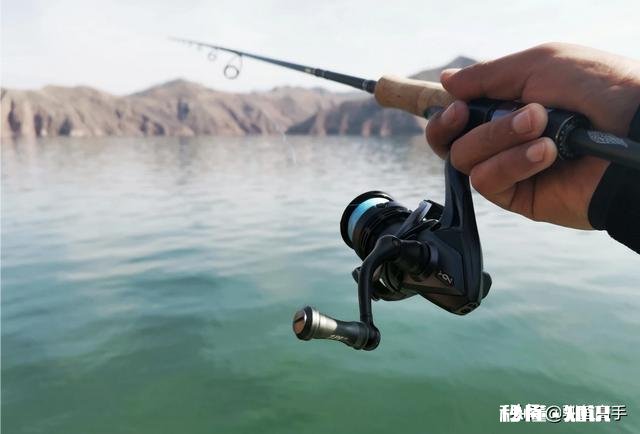 长江翘嘴鱼怎么钓