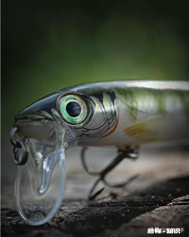 长江翘嘴鱼怎么钓