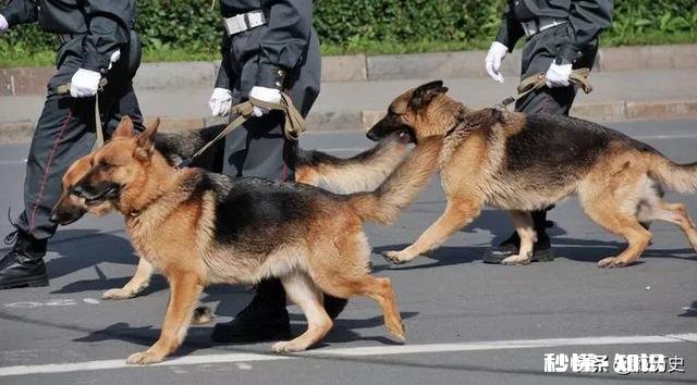 杭州杀妻案张玉环冤案小女孩遇害案等,让人毛骨悚然!有何感想