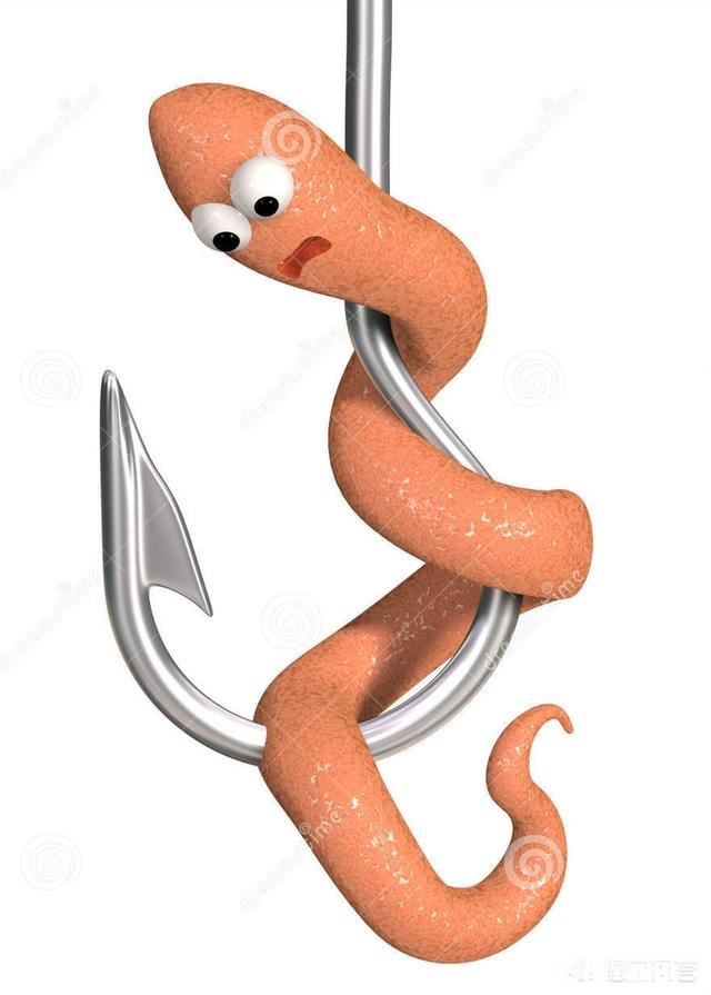 为什么不少钓友明知面饵上鱼多,还在使用蚯蚓钓鱼