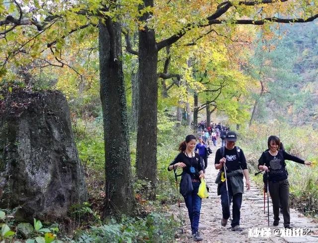 2020年元旦放假安排到底是怎样的你是否期待