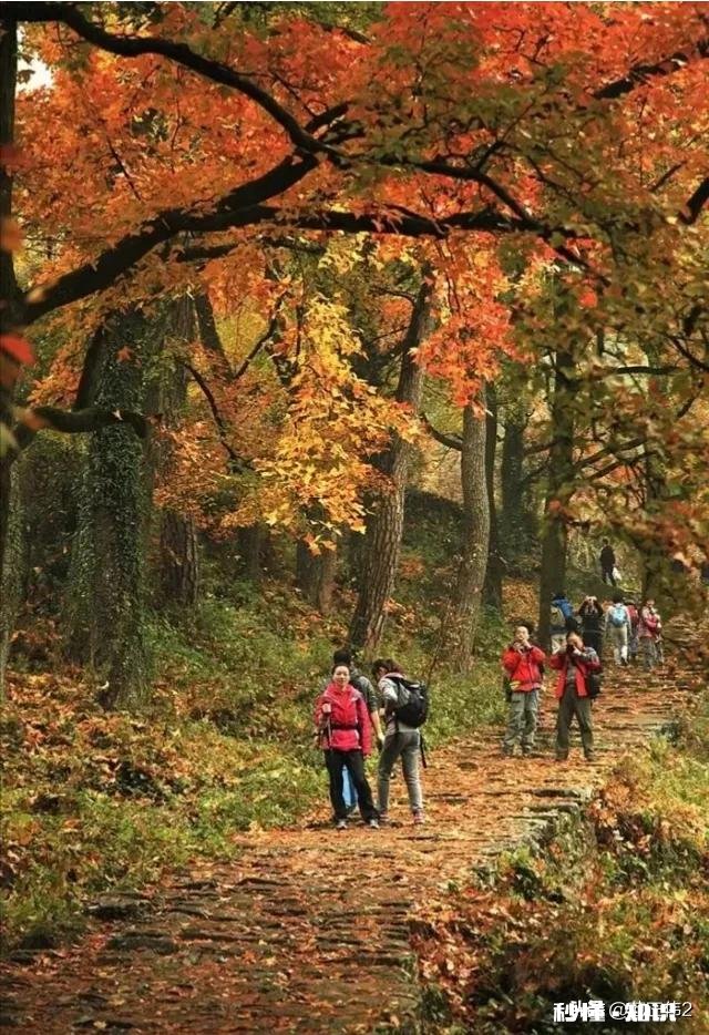 2020年元旦放假安排到底是怎样的你是否期待